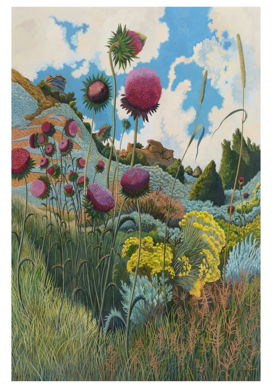 Phyllis Shafer Boxed Assorted Note Cards